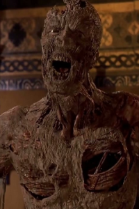 Mummy, The